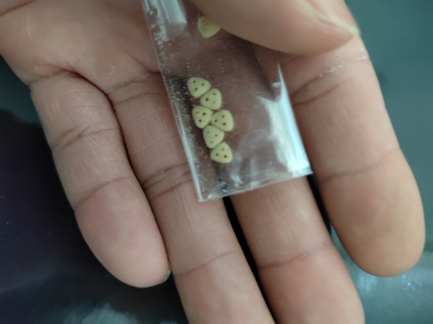 Boxwood Triangular Three-hole Pulley Ancient Ship model kit Luxury Accessories Boat Model Pulley 10pcs / lot