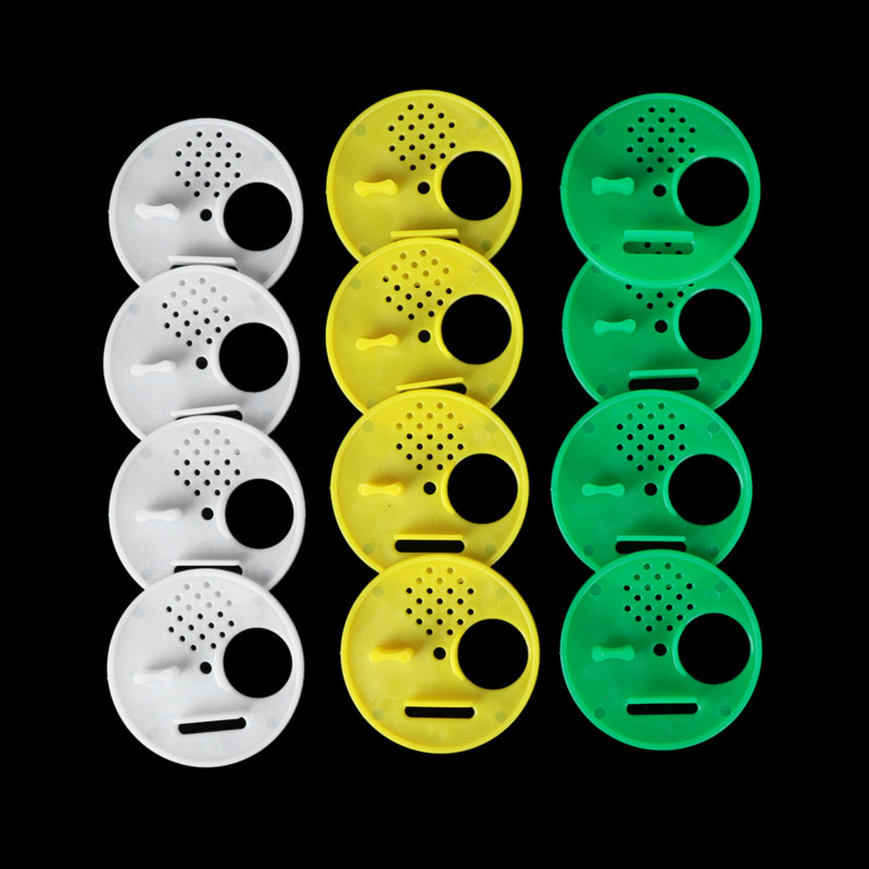 ZERODECO 20 stuks zijdepapier pompons, papieren waaiers en honingraatballen, decoratiepapier kit voor verjaardag, bruiloft, babyshower, feesten, hoofddecoraties - geel ZERODECO 20 stuks zijdepapier pompons, papieren waaiers en honingraatballen, decoratiepapier kit voor verjaardag, bruiloft, babyshower, feesten, hoofddecoraties - geel