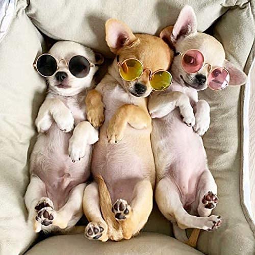 Productos para mascotas encantador redondo Vintage gato gafas de sol reflejo ojo gafas para perro pequeño gato accesorios fotos de mascotas accesorios