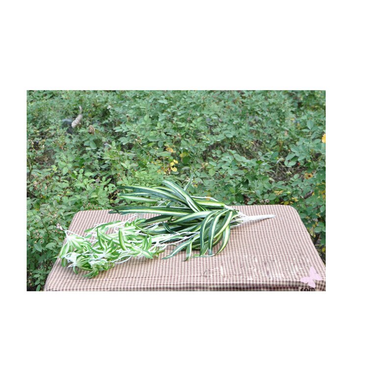 Artificial Orchid plants 1pc 40cm Artificial chlorophytum orchids Plastic rattan wall flower silk flower Year decoration: Default Title