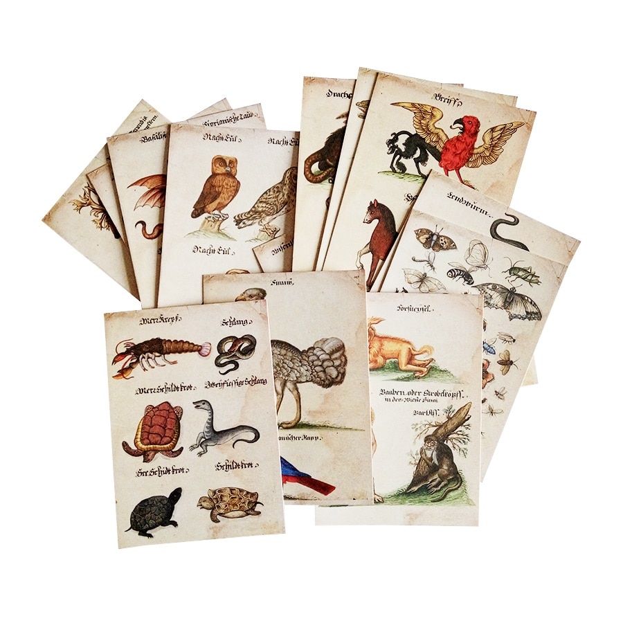 16 Stks/partij Vintage Dier Visitekaartjes Postkaart Uil Snake Insect Mooie En Woeste Dier Wenskaart Klassieke Kaarten