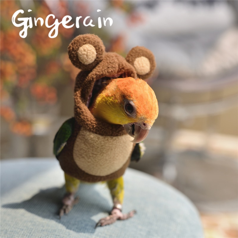 Gingerain Vogel kleding Papegaai kleding Beer originele handgemaakte custom vogel kleding Hooded Trui Beer