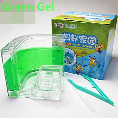 LED Ant Farm Home Ecological Insect Ecology Box Science Educational for Children Ants Pet Toys Reptile 6 Colors Ant Nest: green