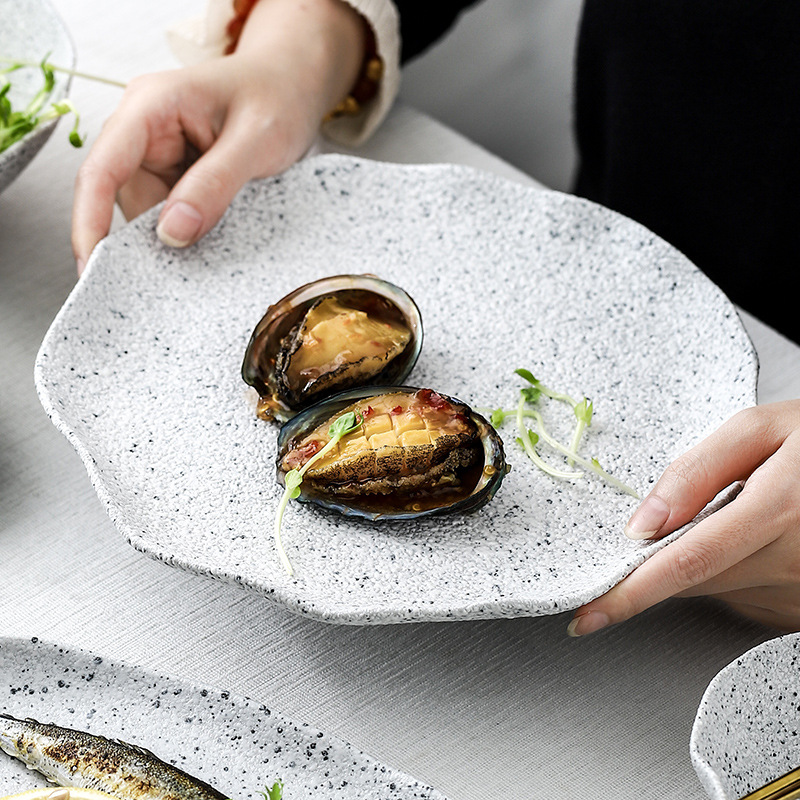 Motif céramique assiette alimentaire plat riz saladier rétro porcelaine plateau ménage vaisselle dîner