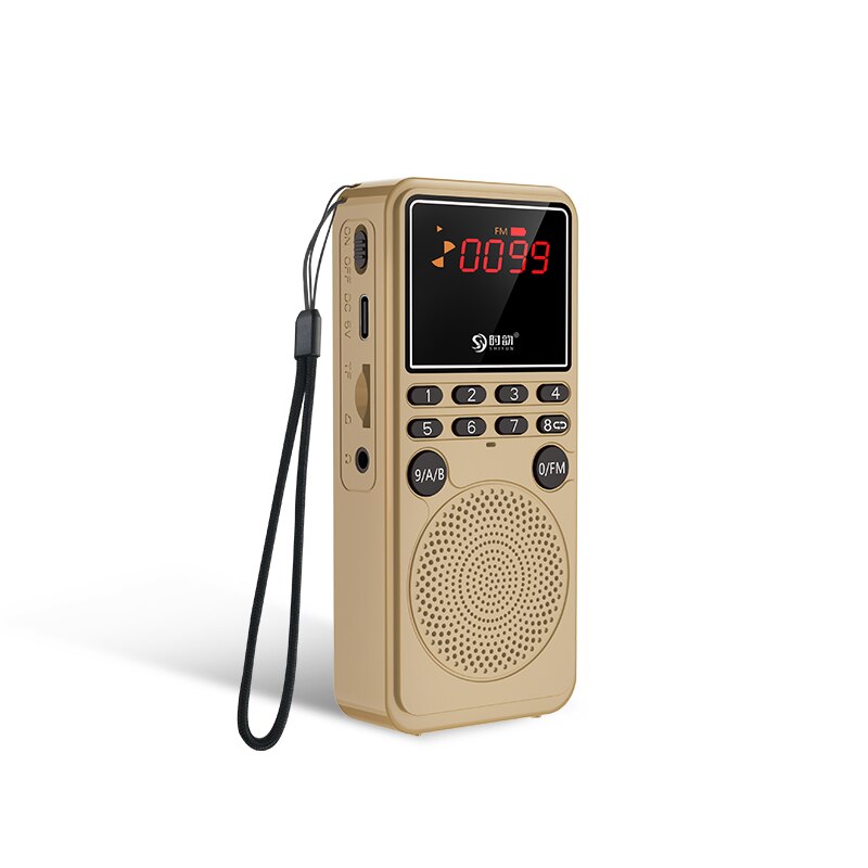 Draagbare Digitale Radio Bluetooth Luidspreker Muziek Speler Met Hd Display Ondersteuning Bluetooth Call Recording Tf Card Oortelefoon Spelen: Gold