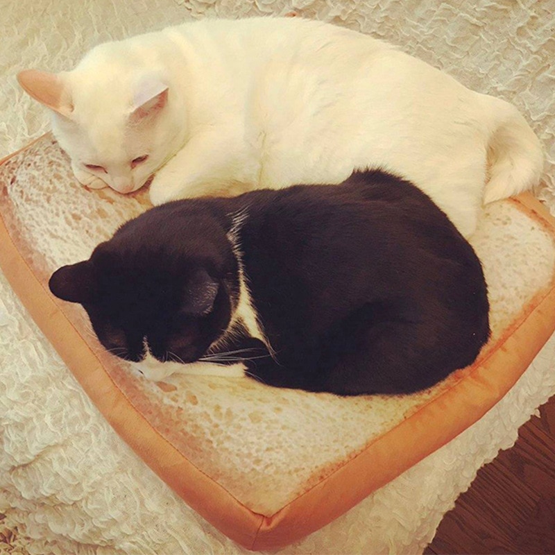 Matelas coussin doux et | , pain, chats, lit de pain grillé, tranche de pain, Style tapis pour animaux, matelas pour chats et chiens TE889