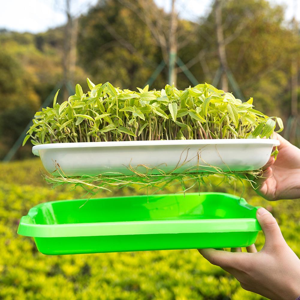 Bandeja de vivero de brotes de doble capa, gran capacidad, resina, trigo, plantación de césped, bandeja de guardería, tabla de germinación, bandeja de guardería para jardín