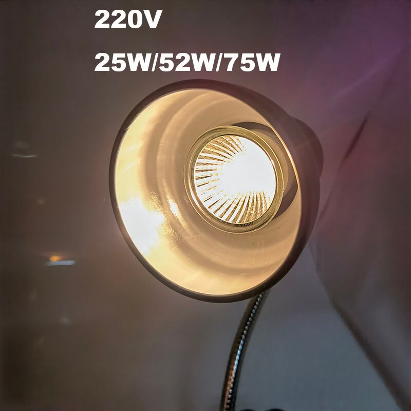Set di portalampada per rettili UVA UVB con termometro a Clip igrometro lucertola tartaruga tartaruga Basking lampadina riscaldante 220V