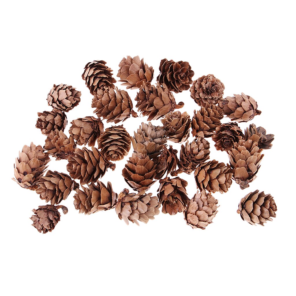 30pcs Small Decorative Pine Cones for Home Party Ornament DIY