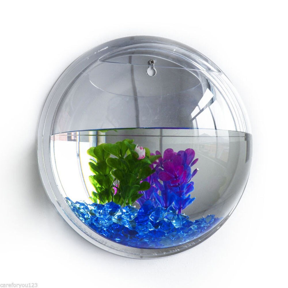 Aquarium en acrylique Transparent, bol mural, fournitures de décoration pour la maison, pour animaux de compagnie: 15X15CM