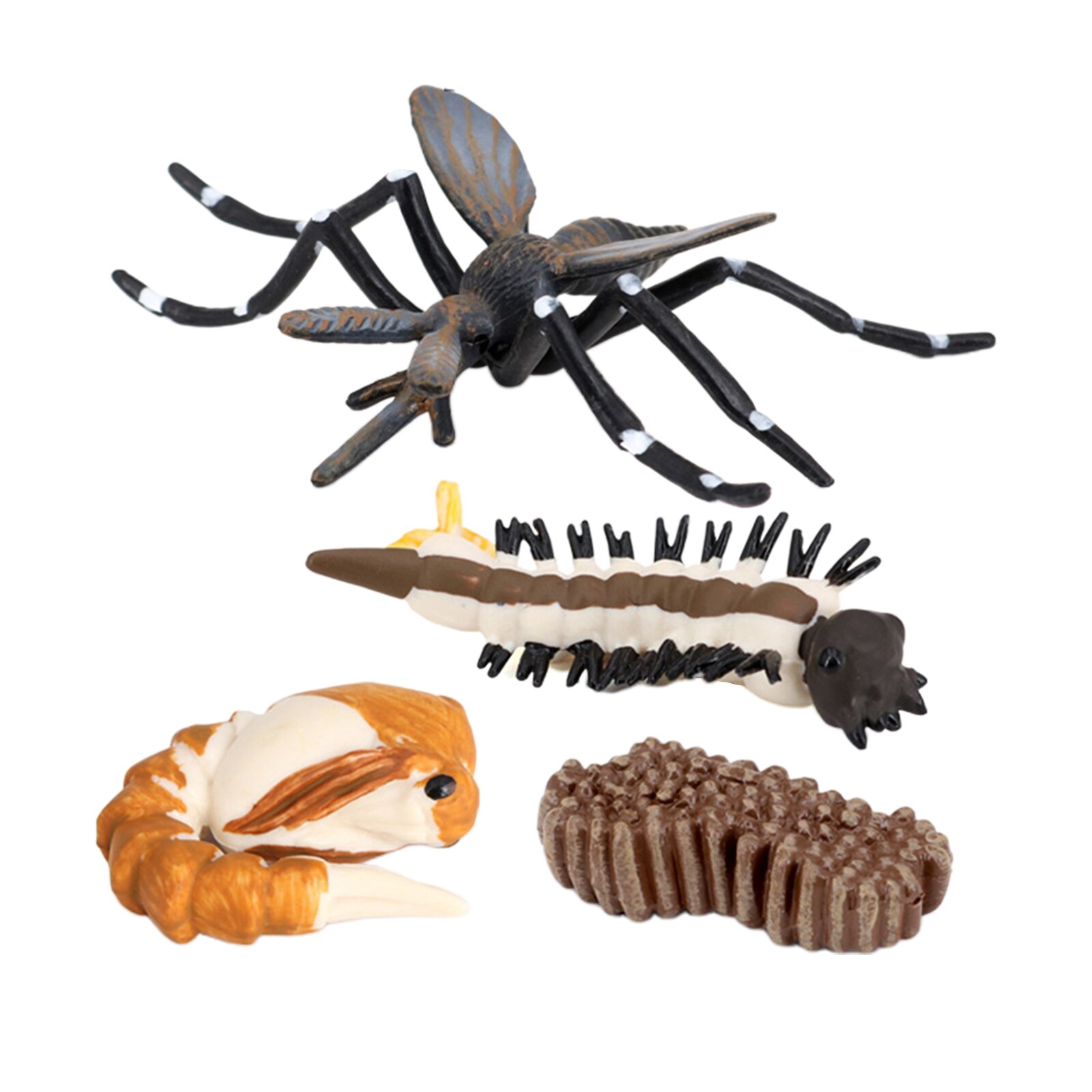 Kids Natuur Insecten Mug Groei Figuur Pre-School Speelgoed Thema Party