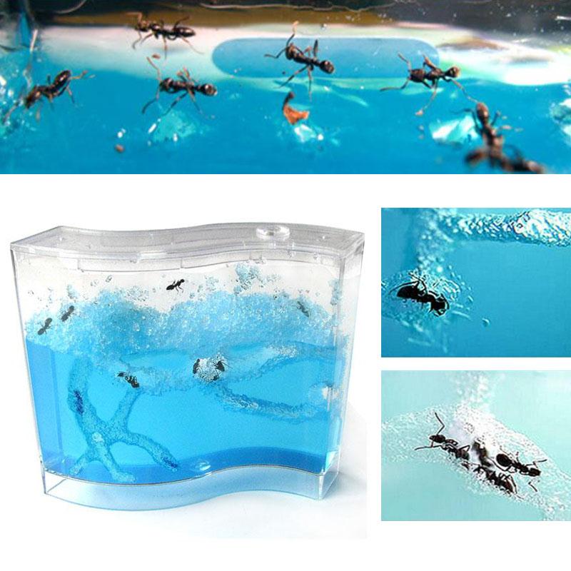 73 * 32 * 78mm husdyr legetøj til levende myrer pædagogisk pædagogisk pædagogisk plastisk levende myre habitat my farverige børn
