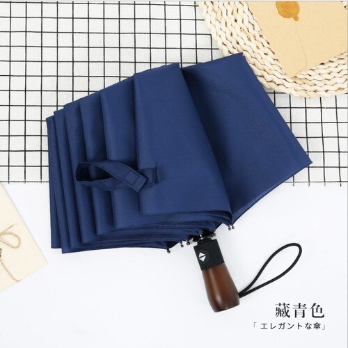 Academy Winddicht Mannen Draagbare Paraplu Reizen Outdoor Luxe Automatische Parasol Paraplu Regen Vrouwen Paraguas Ambrella BW50YS: style5