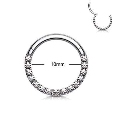 1PC Kristall Knorpel Ohrring 316L Chirurgische Edelstahl Septum Clicker gepflasterte vorne zirkon Segment Ring durchbohren 16g: 1.2x10mm Silber-