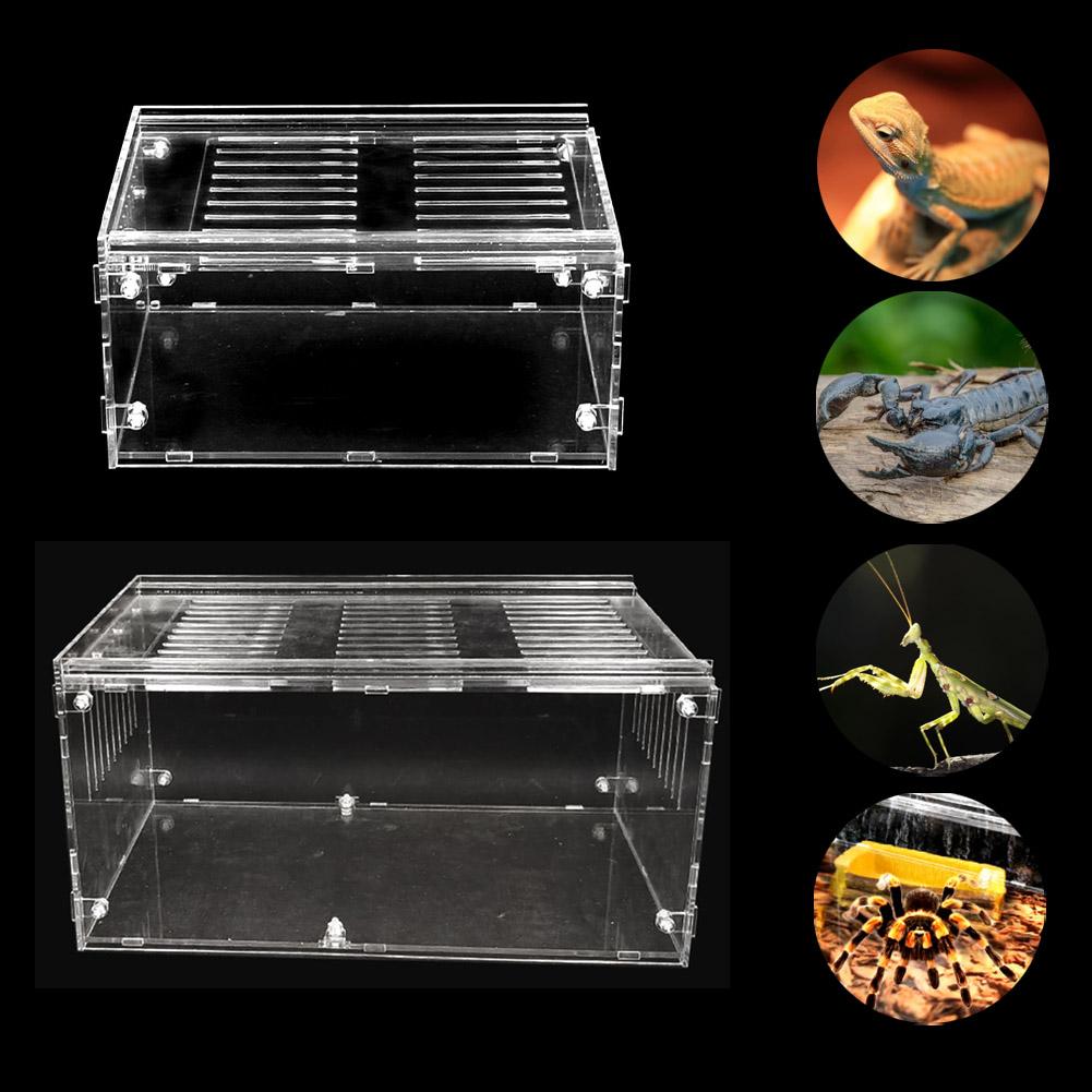 Large Reptile Breeding Box Reptile Breeding Box Acrylic Feeding Box For Spider Lizard Frog Cricket Turtle