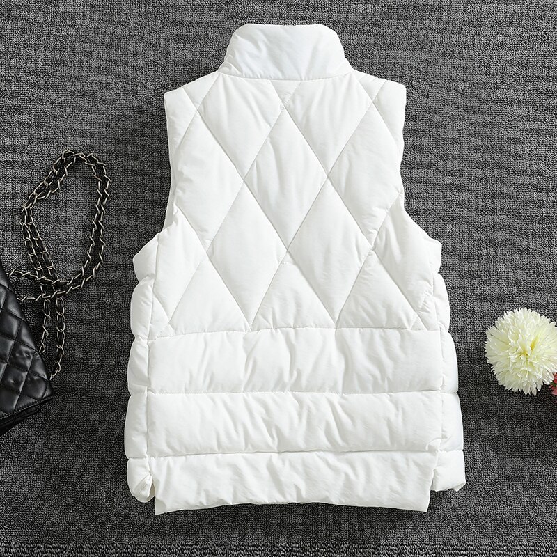 Chaleco con cremallera para mujer, chaqueta sin mangas con cuello levantado, color negro, para otoño e invierno,
