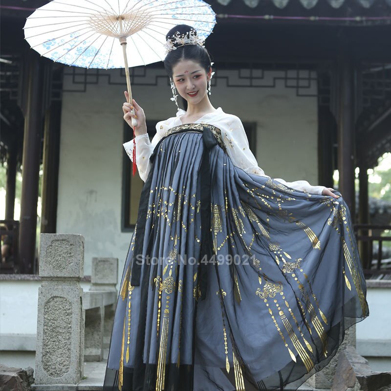 Women Chinese Style Traditional Folk Dance Costume Oriental Han Dynasty Fairy Performance Hanfu Crane Singer Printed Skirt Set