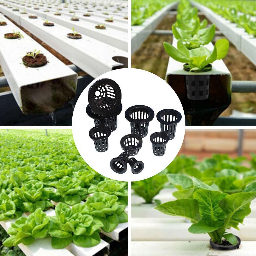 Plastic Fixer Grondloze Teelt Groente Planten Wortel Fixer Te Reinigen Corrosiebestendig