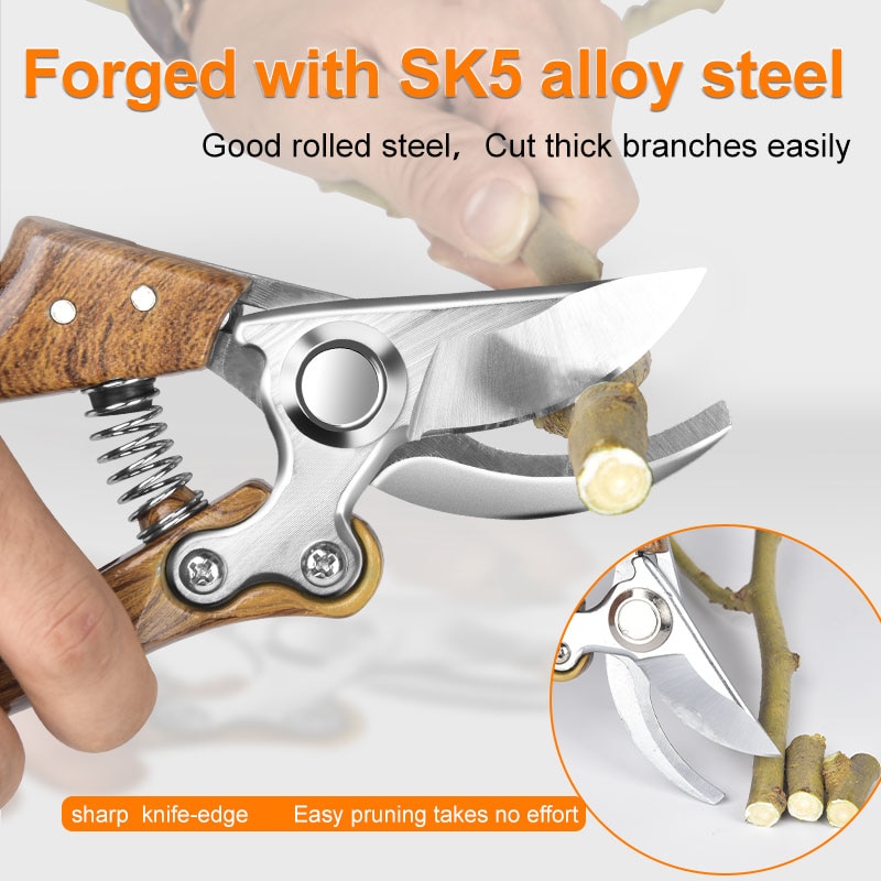 thumbnail image 2 of Voyager Pruning Shears - 8 Inch Stainless Steel Garden Scissors With Wood Handle 2 of 9