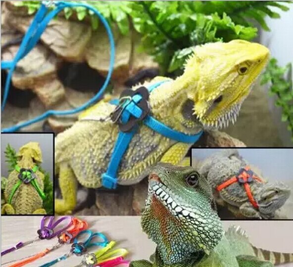 Reptiel Hagedis Harnas & Leash Verstelbare Multicolor Duurzaam Zachte Mode 120 cm 1 stks