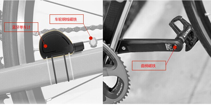 Bluetooth Bicycle Speedometer Wireless GPS Bike Computer Speed Cadence Sensor Calories Motion Tracker Odometer Velometer