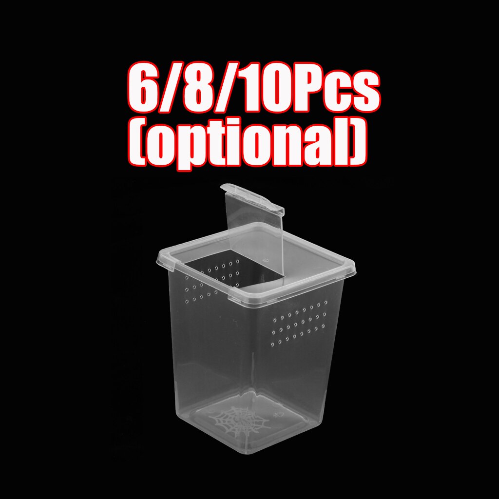 6/8/10Pcs Clear Plastic Reptile Insect Spider Habitat Feeding Box Container Hatching Tank Reptile Tank Habitat Case DURABLE