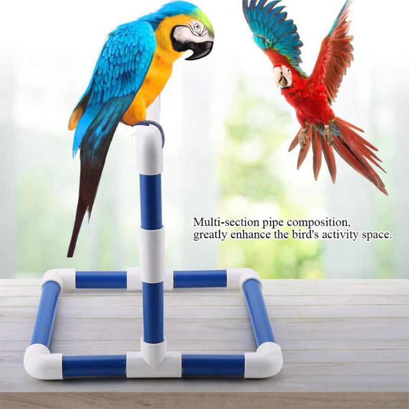 Papegøje stativ aborre rack fugle lege træning legetøj papegøjer bruser siddepinde legeplads stående legetøj til kakadue parakitelskefugle