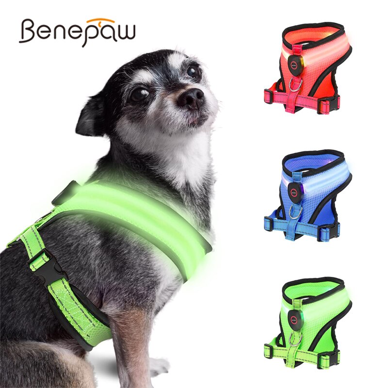 Benepaw Led Licht Hond Harnas Usb Oplaadbare Reflecterende Verstelbare Mesh Zachte Gewatteerde Huisdier Vest Harnas Voor Kleine Middelgrote Honden