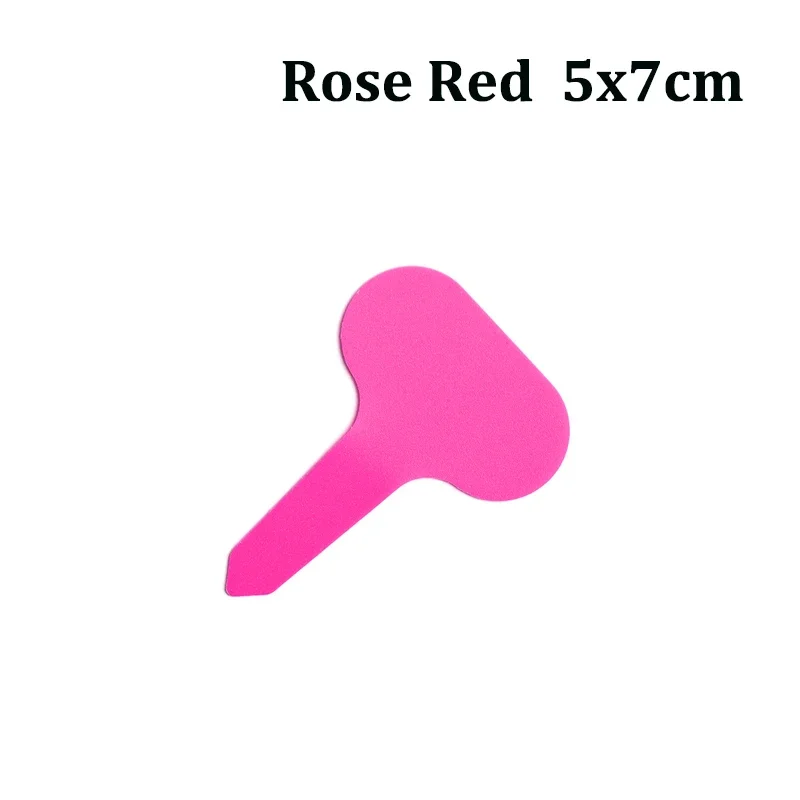 50/100Pcs 5x7cm T-Type Plastic Plant Labels, Reusable Waterproof Garden Markers Plant Tags for Potted Plants Herbs Succulent: plum