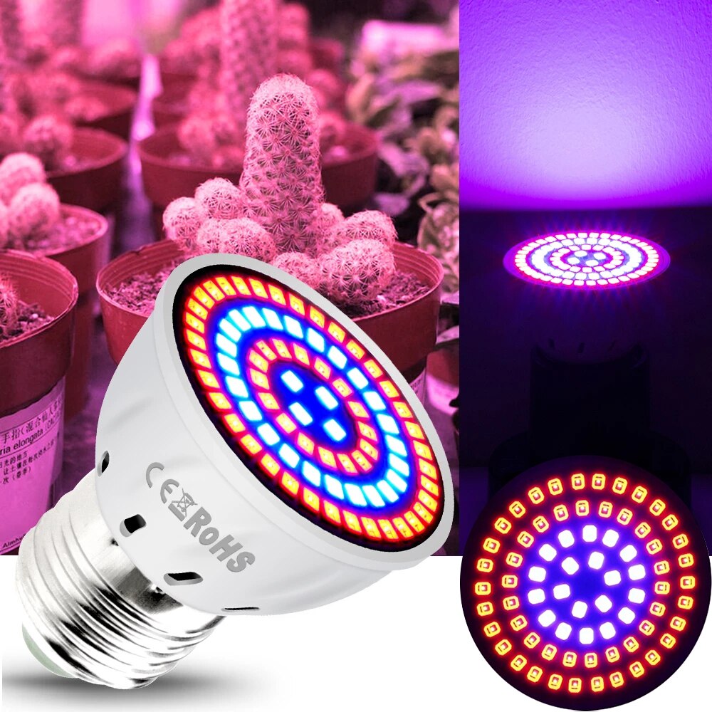 Led Grow Light E14 E27 Mr16 Gu10 B22 Full Spectrum Led Bulb Plant Lamp Red Blue Uv Ir For Grow Tent Greenhouse Grow Lighting D30