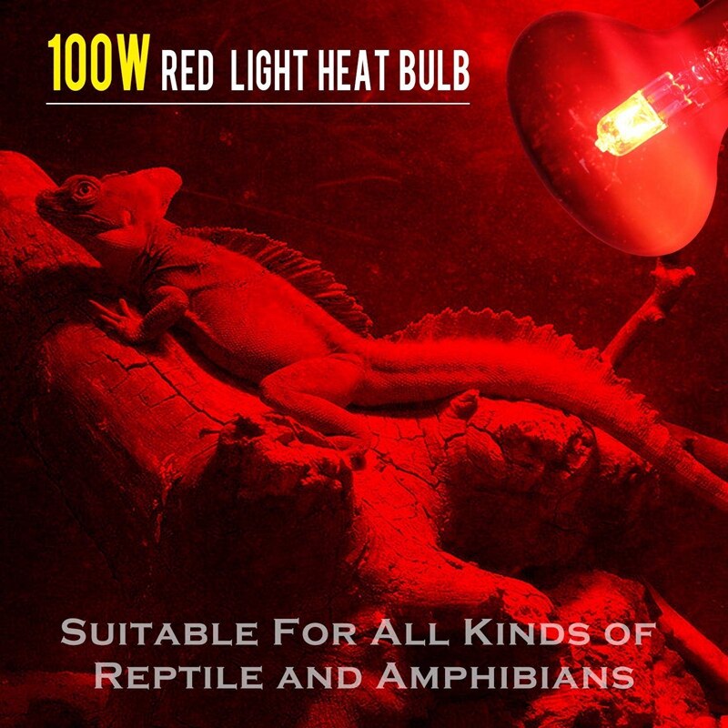 Paquete de 2 bombillas de calor infrarrojas de 100W, bombillas de calor rojas para mascotas, lagartos, dragones barbudos, camaleones, serpientes, Reptiles y anfibios