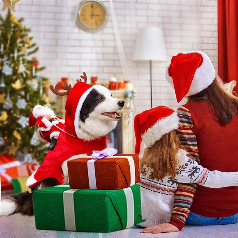 Disfraz navideño de perro, ropa de Papá Noel para montar a caballo, perro de Navidad con astas de renos, Gato lindo cálido, disfraces de Navidad para mascotas