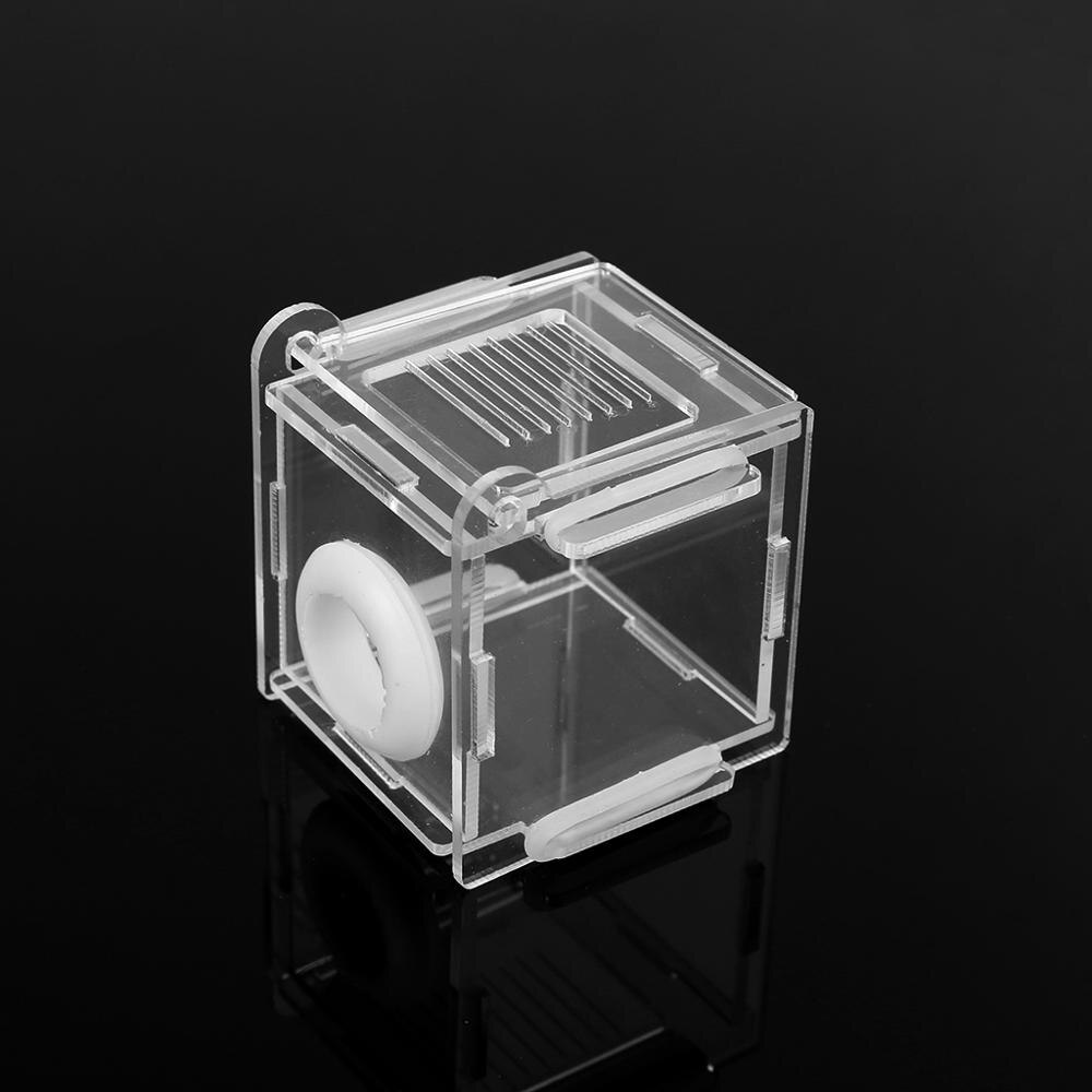 Ant Nest Glazen Buis Mini Ant Nest Met Actieve Zone Insect Huis Acryl Ant Farm