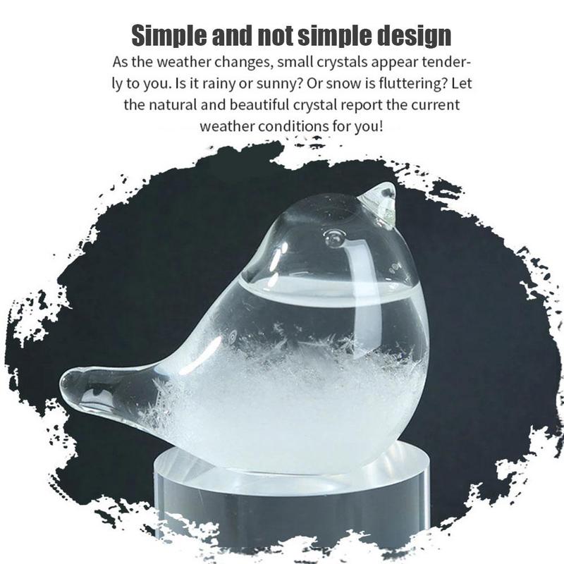 Transparent Crystal Storm Glass Bottle Barometer Desktop Forecast Weather Weather Water Bottles Station Elegan Y9B3
