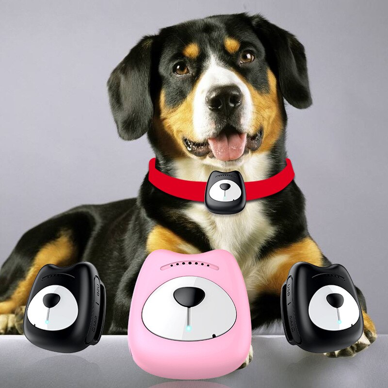 Gps husdjurslokalisering hund mini tracker vattentät anti-förlorad smart krage husdjur positionering husdjur hitta halsband mobil fjärrkontroll