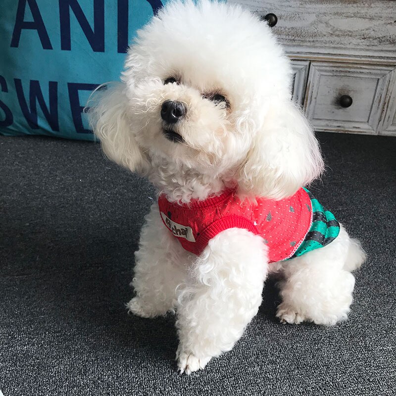 Ropa refrescante de verano para mascotas, chaleco para perro gordo al aire libre, camisa, ropa para perros Bulldog Francés, ropa de sandía para perros, chaleco refrescante