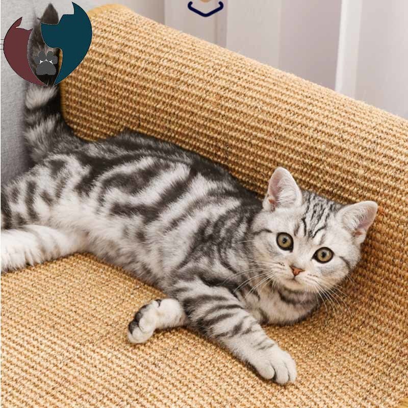 Kat Scratcher Sisal Mat Board Cat Scratch Scherpen Nagels Schraper Katten Boom Kat Speelgoed Stoel Tafel Sofa Matten Meubelen protector