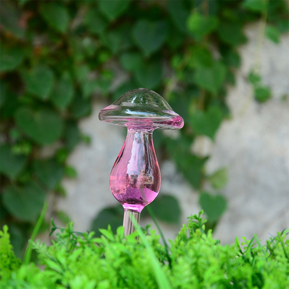 Dispositivo de riego automático de 5 Formas para plantas de jardín, regadera de cristal automática para plantas, flores, herramienta decorativa para plantas, 1 unidad