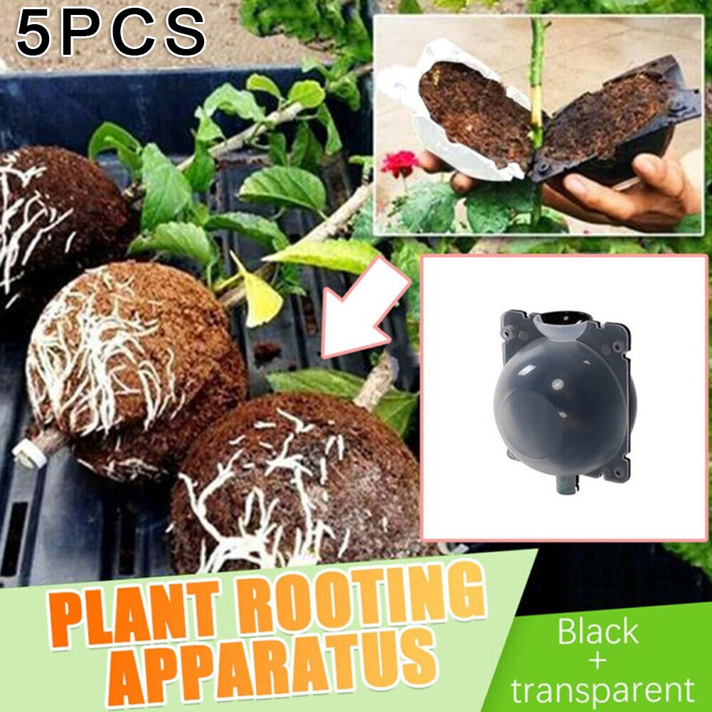 Grafting Root Box Grow Pod Plastic Roses Climbers Fruit bushes Growing 5x