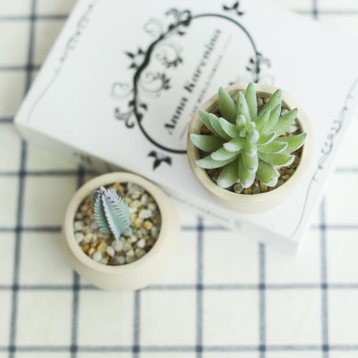 Macetas pequeñas de escritorio para hogar y oficina, maceta redonda gris para plantas, Mini soportes de cerámica para plantas, suculento de Cactus, macetas de flores