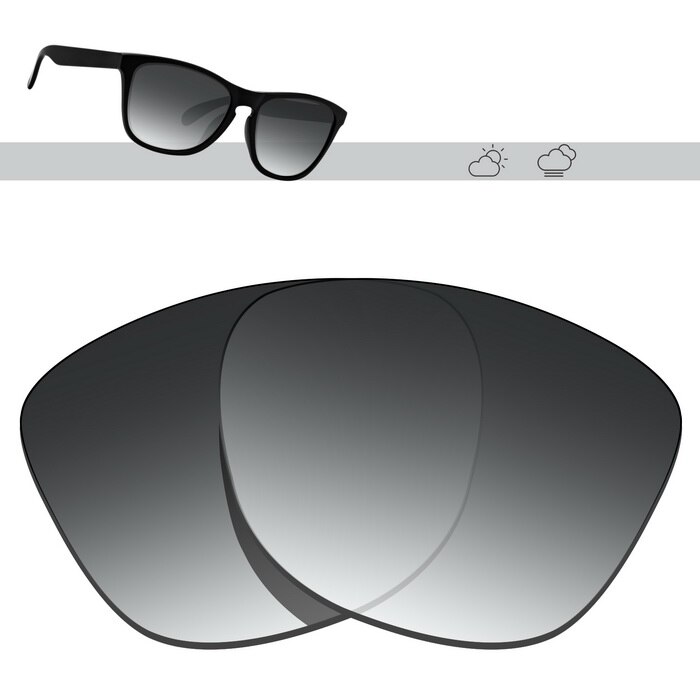 Glintbay polariserade ersättningssolglasögonglas för oakley frogskins-flera alternativ: Grå gradient