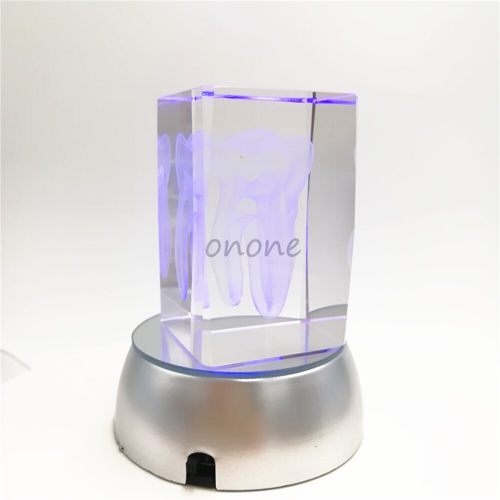 1pcs Dental Artware Teeth Model Dentist Crystal Model Handicraft Article