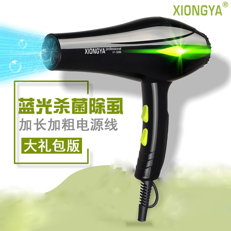 Electric Pet Hair Dryer High Power Dog Blower Golden Hair Teddy Cat Small Large Dog Blowing Machine Heater