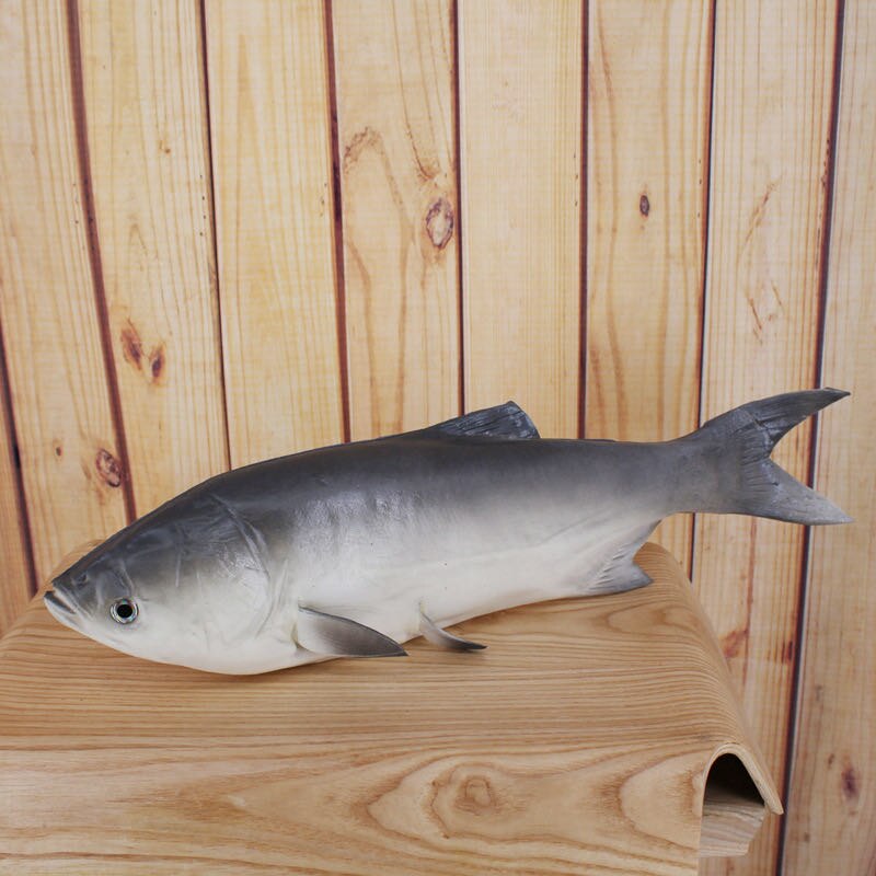 Peces artificiales de imitación para niños, 36 tipos, accesorios educativos para edades tempranas, carpa roja falsa, crisol, alimento para peces