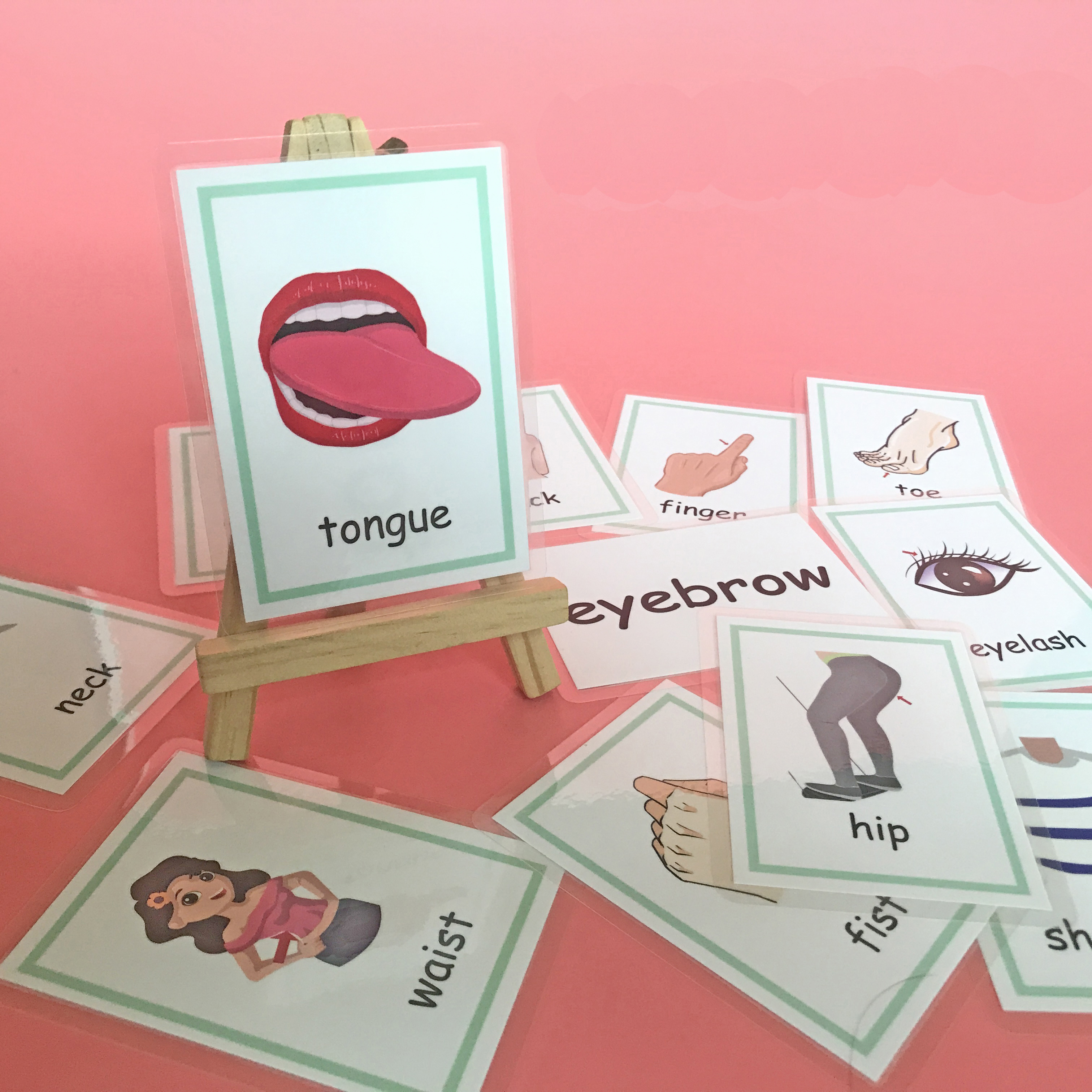 Tarjetas didácticas de aprendizaje de palabras en inglés Montessori para niños, tarjetas educativas tempranas, suministros para el aula, material didáctico para profesores de guardería: Rosa