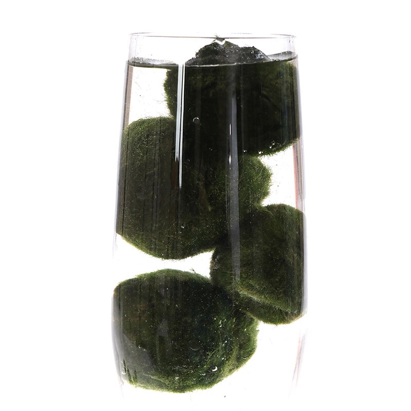 Moss Stone Lifelike Vivid Moss Balls Decorative Balls for Glass Jar Terrarium Aquariums Landscaping Plant Fish Tank Decor