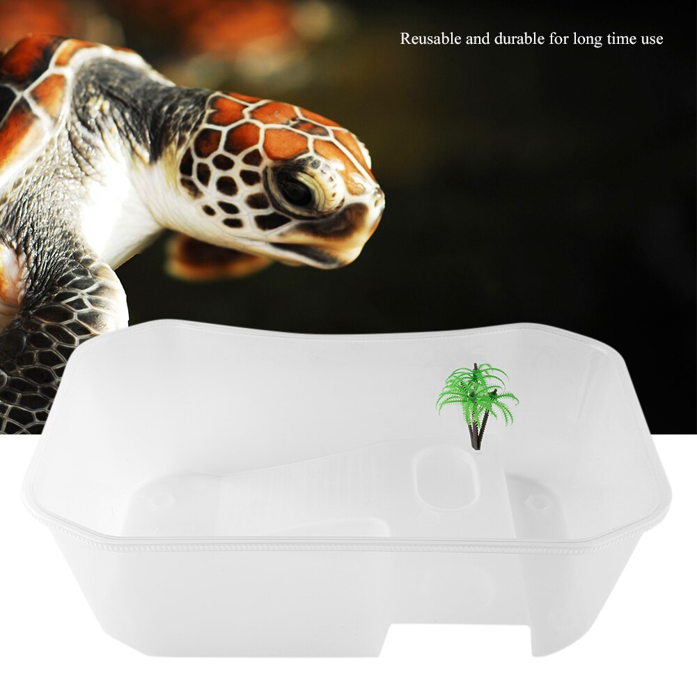 Tanque de peces portátil de plástico abierto para acuario, caja de cría de tortugas, filtro desmontable, caja de apoyo para tortugas, Reptiles y lagartijas