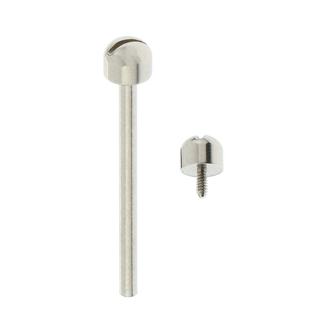 Prettyia Rvs Bar Schroef Buis Voor Horloge Reparatie Tool Accessoires: 20 mm