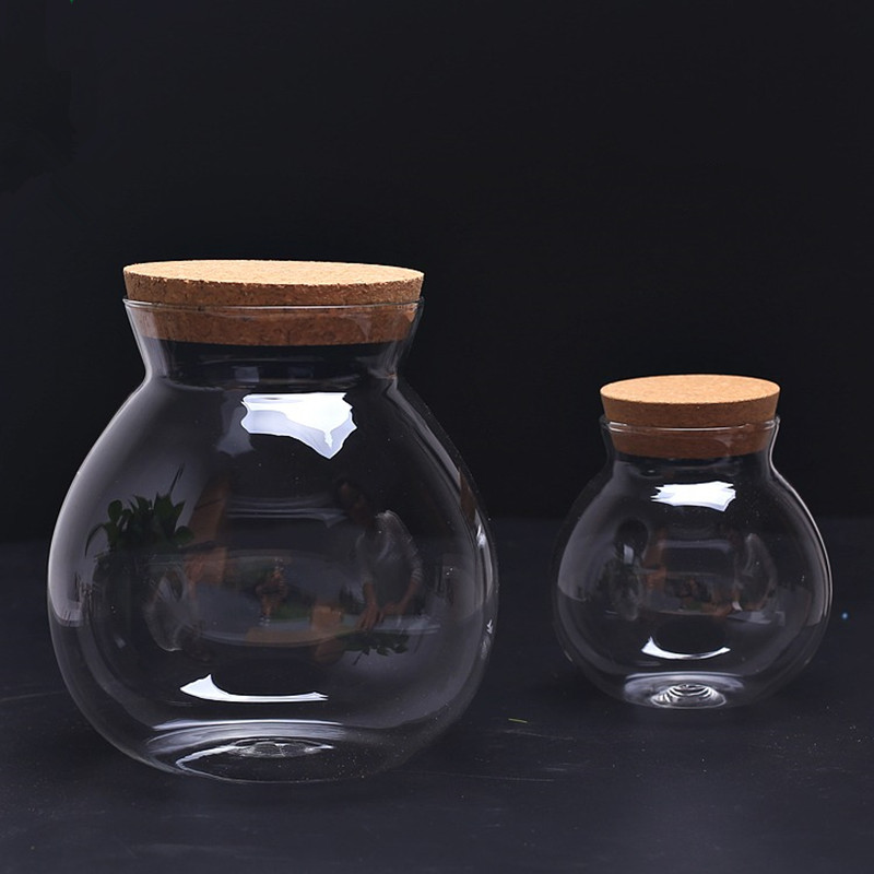 Diameter = 15Cm Big Size Kurk Deksel Glazen Fles Micro Landschap Glas Terrarium Vaas Woondecoratie Thee Opslagtank