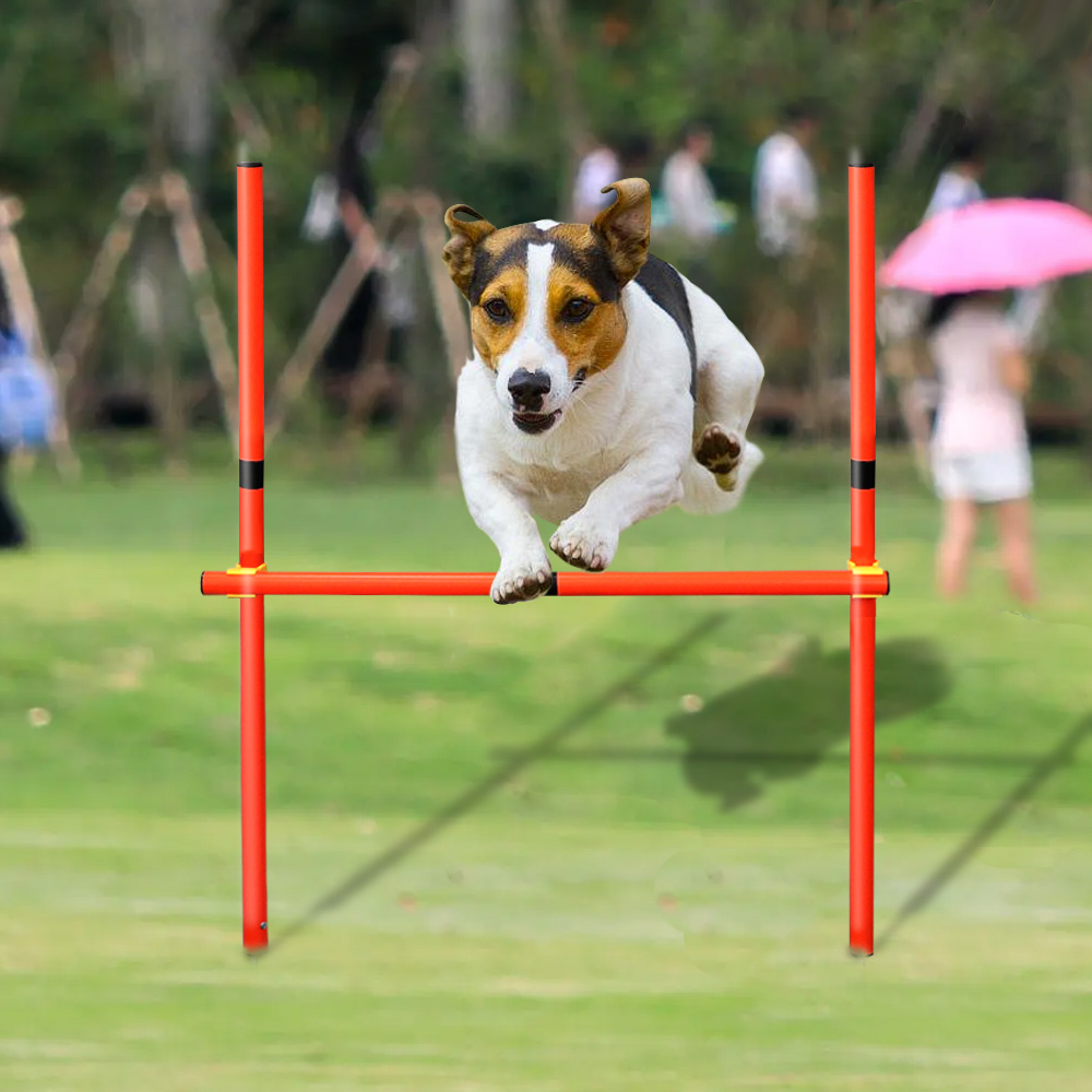 Outdoor Dog Training Equipment Portable Dog Exercise Running Training Jumping Stakes Sports Dogs Agility Equipment Pet Supplies